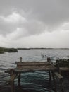 footings made of wood are usually used by fishermen in Lake Limboto, Gorontalo for their fishing grounds Royalty Free Stock Photo