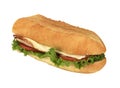FootLong Sandwich Royalty Free Stock Photo
