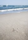 Footmark in the sand Royalty Free Stock Photo