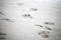 Footmark on sand Royalty Free Stock Photo