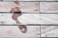 Footmark on wooden floor