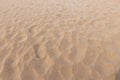 Footmarks on sand and sand texture