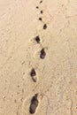 Footmarks on the sandy beach Royalty Free Stock Photo