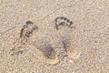 Footmarks on the sandy beach Royalty Free Stock Photo