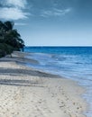 Footmarks on a sandy beach Royalty Free Stock Photo