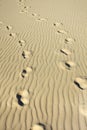 Footmarks on a wrinkled sunny beach