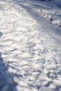 Footpath Across Winter Royalty Free Stock Photo