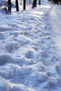 Footpath Across Winter Royalty Free Stock Photo