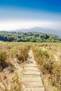 Footpath along mountain