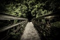 Footpath along an old wooden bridge Royalty Free Stock Photo