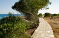 Footpath along the promenade by the sea Royalty Free Stock Photo