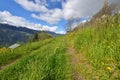 Footpath in alpine mountain crossing greenery meadow Royalty Free Stock Photo