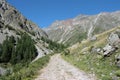 Footpath in Alps, France Royalty Free Stock Photo