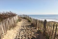 Footpath on the Atlantic Dune in Brittany Royalty Free Stock Photo