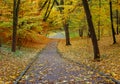 Footpath in the autumn city park with yellow fallen leaves Royalty Free Stock Photo