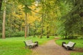 Footpath in the autumn park among the trees between two empty benches Royalty Free Stock Photo