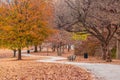 Footpath in autumn Piedmont Park, Atlanta, USA Royalty Free Stock Photo