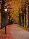 footpath autumn street