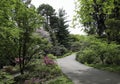 Footpath through azalea gardens in the springtime