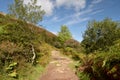 Path in Doone Valley, Exmoor, North Devon