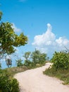 Footpath at Bahia Honda State Park on a hot sunny day. Bahia Honda is an island in the lower Florida Keys, USA. Travel and