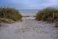 Footpath beach through the sand dunes with marram grass Ammophila arenaria to the empty beach during coronavirus pandemic at the Royalty Free Stock Photo