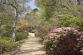 Footpath through beautiful trees and shrubs in Spr