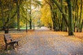 Footpath with bench for relaxation in autumnal park Royalty Free Stock Photo