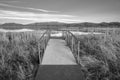 Footpath bridge heading towards a still lake in a wildlife study area near Reno in northern Nevada.