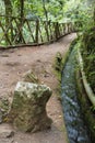 Los Tilos Rain Forest Water Canal, La Palma