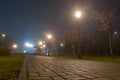 Footpath in city park at night in fog with streetlights. Beautiful foggy evening in the autumn alley with burning lanterns Royalty Free Stock Photo