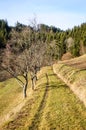 Footpath through the Countryside