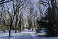 Footpath covered with snow in park - winter season Royalty Free Stock Photo