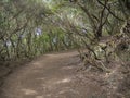 Footpath curve on Sendero de los Sentidos path od the senses in