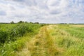 Footpath curves across the Norfolk countryside near Reedham Royalty Free Stock Photo