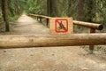 The footpath deep in the woods