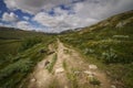 Footpath in Dovrefjell, Norway Royalty Free Stock Photo