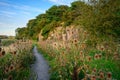 Footpath by Embleton Quarry Rock Face Royalty Free Stock Photo