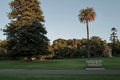 Footpath with an empty bench against the background of green trees. Royal Botanic Garden, Sydney. Royalty Free Stock Photo