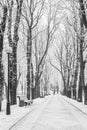 Footpath in a fabulous winter city park