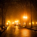 Footpath in a fabulous winter city park.