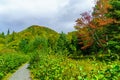 Footpath and fall foliage colors, in Mont Tremblant National Par Royalty Free Stock Photo