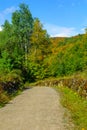 Footpath and fall foliage colors, in Mont Tremblant National Park Royalty Free Stock Photo