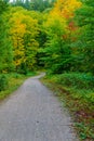 Footpath and fall foliage colors, in Mont Tremblant National Park Royalty Free Stock Photo