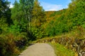 Footpath and fall foliage colors, in Mont Tremblant National Park Royalty Free Stock Photo