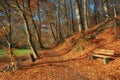 Footpath in Neandertal,Germany