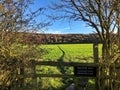 Footpath with fence, stile, trees and fields in the English countryside Royalty Free Stock Photo