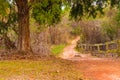 Footpath and thicket in Providence Canyon State Park, Georgia, USA Royalty Free Stock Photo