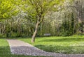 Footpath in a flowered park. Green and flowering trees. Bright gozon Royalty Free Stock Photo