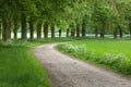 Footpath in Forest Royalty Free Stock Photo